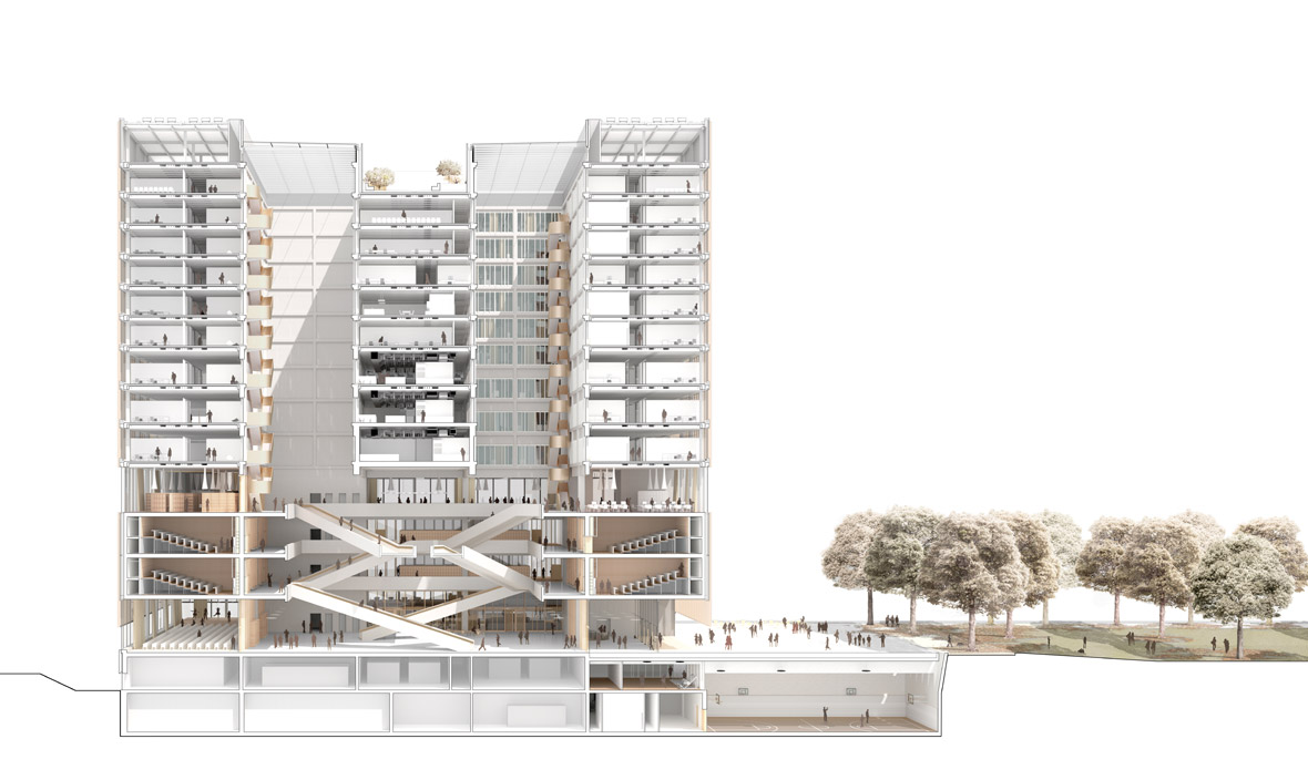 schnittperspektive_gross